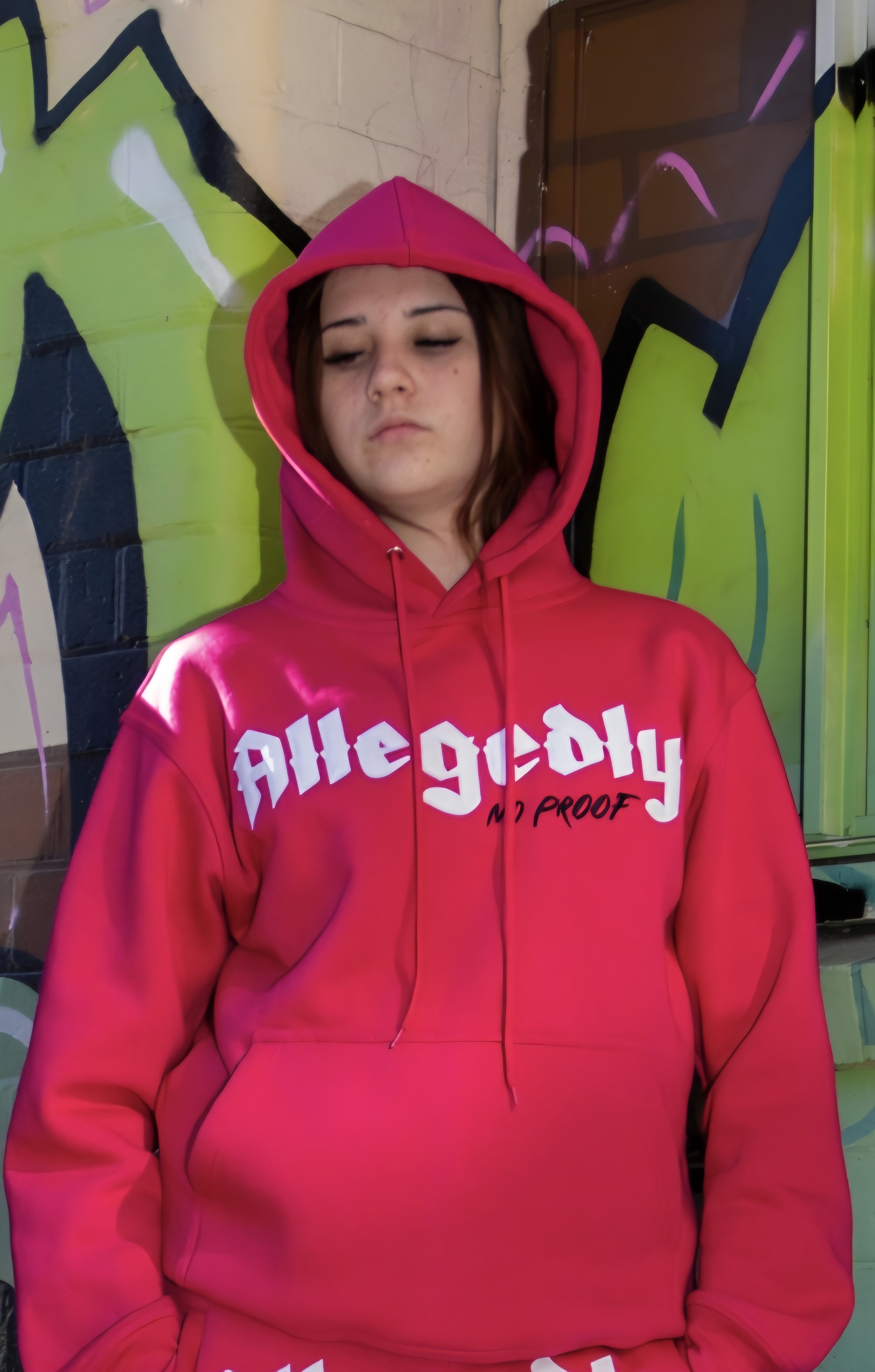 ALLEGEDLY Hoodie - Pink